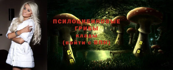 гидропоника Гусиноозёрск