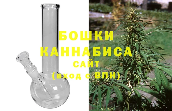 ГАЛЛЮЦИНОГЕННЫЕ ГРИБЫ Гусь-Хрустальный