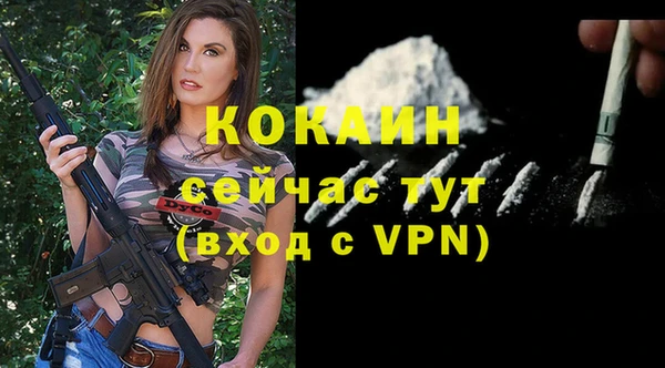 гидропоника Гусиноозёрск