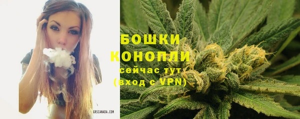 ГАЛЛЮЦИНОГЕННЫЕ ГРИБЫ Гусь-Хрустальный